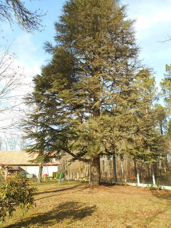Chambres D'Hotes Villa Capsylvaine Captieux Εξωτερικό φωτογραφία